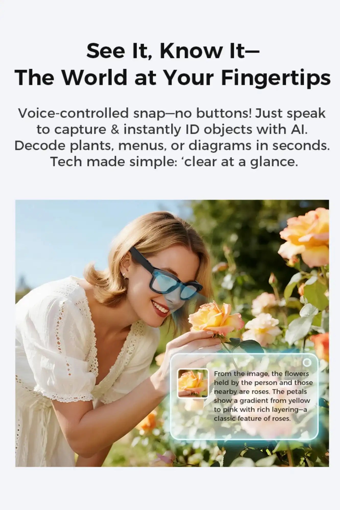 Woman wearing smart AI sunglasses identifying yellow roses in garden with voice assistant, TUTT