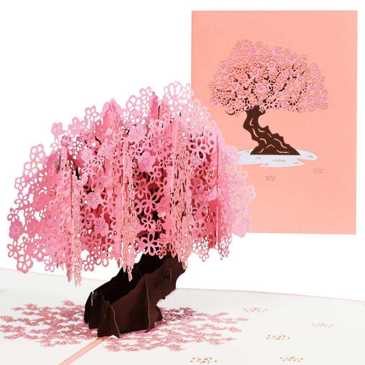 Pop-up greeting card with intricate pink cherry blossom tree and matching envelope, all occasion. TUTT