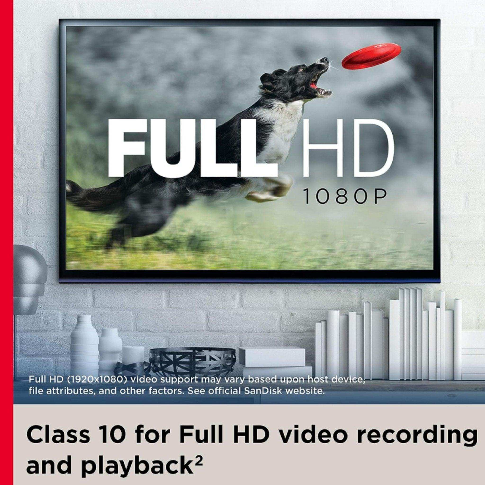 TV displays Full HD 1080p with a dog jumping for a frisbee, home decor below. TUTT