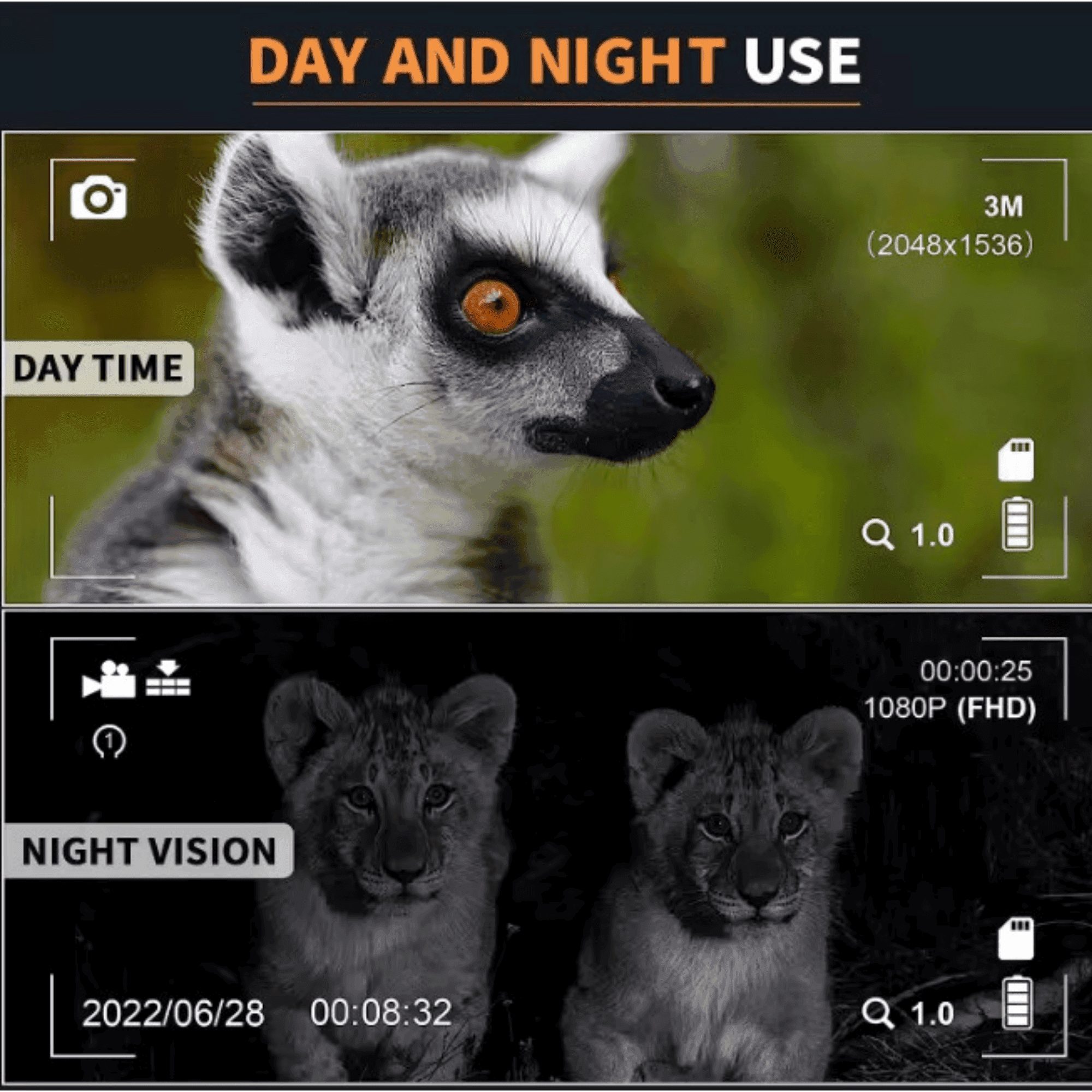 Split screen showing lemur in daytime and two lion cubs in night vision, TUTT night vision goggles TUTT